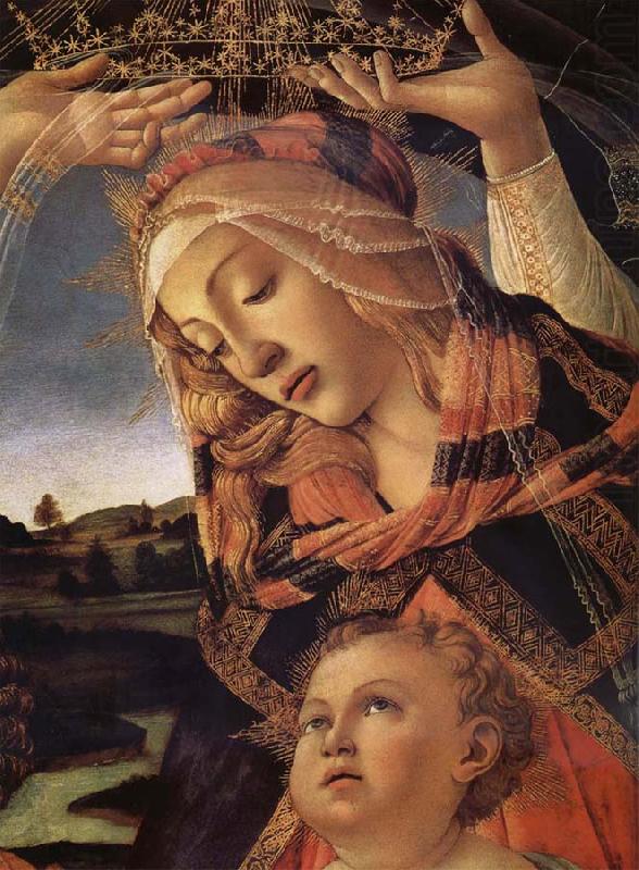 Sandro Botticelli The Madonna and the Nino with angeles china oil painting image